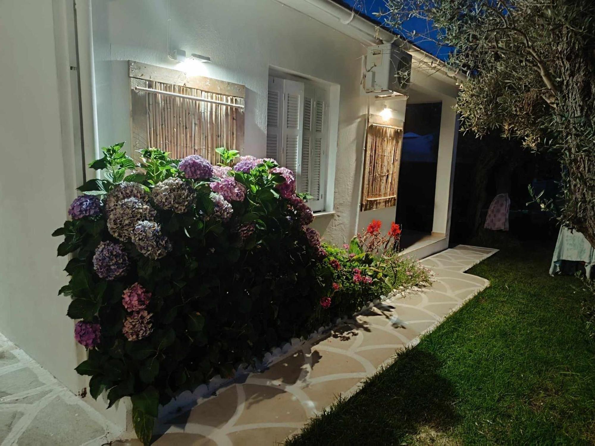 Salty Seashells Skiathos Exterior photo